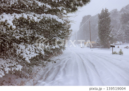 Snow covers quiet road in rural area during winter storm in early morning hours Snow covers quiet road in rural area during winter storm in early morning hours 139519004