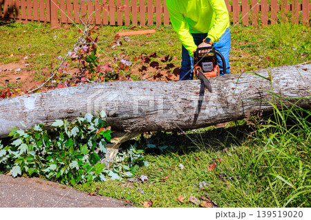 Man uses chainsaw to cut fallen tree in yard after strong tornado in residential area Man uses chainsaw to cut fallen tree in yard after strong tornado in residential area 139519020