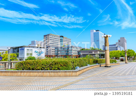 東京　江東区 有明　シンボルプロムナード公園（夢の大橋） 139519181