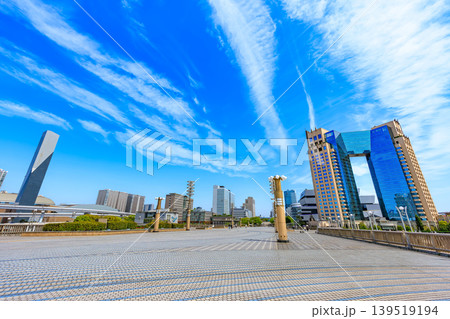東京 江東区 有明 シンボルプロムナード公園(夢の大橋) 東京 江東区 有明 シンボルプロムナード公園(夢の大橋) 139519194