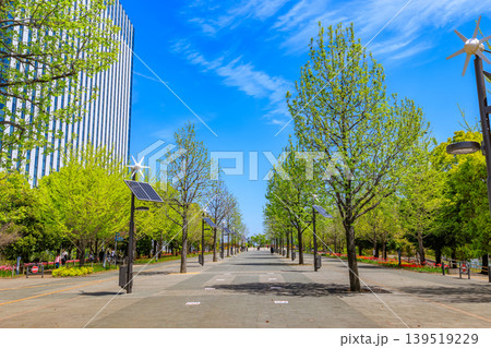 東京 江東区 青海 シンボルプロムナード公園(ウエストプロムナード) 東京 江東区 青海 シンボルプロムナード公園(ウエストプロムナード) 139519229