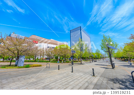 東京 江東区 青海 シンボルプロムナード公園(ウエストプロムナード) 東京 江東区 青海 シンボルプロムナード公園(ウエストプロムナード) 139519231