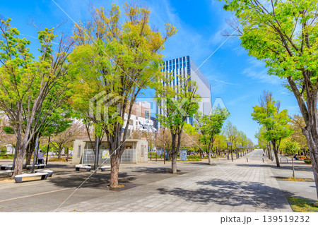 東京 江東区 青海 シンボルプロムナード公園(ウエストプロムナード) 東京 江東区 青海 シンボルプロムナード公園(ウエストプロムナード) 139519232