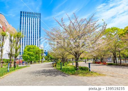 東京 江東区 青海 シンボルプロムナード公園(ウエストプロムナード) 東京 江東区 青海 シンボルプロムナード公園(ウエストプロムナード) 139519235