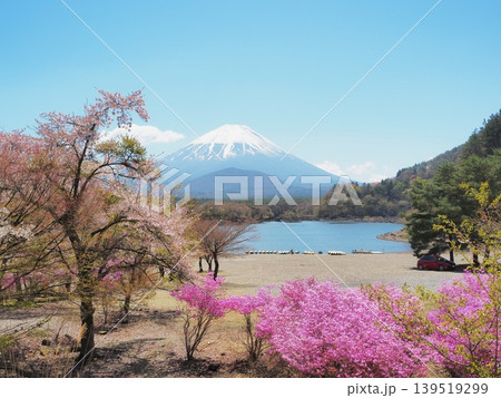 山梨県 春の精進湖畔の景色 4月 山梨県 春の精進湖畔の景色 4月 139519299