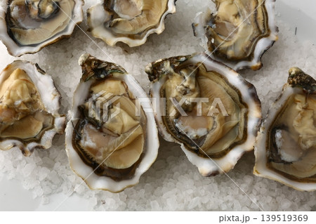 Raw Oysters Seafood Gourmet Dish Raw Oysters Seafood Gourmet Dish 139519369
