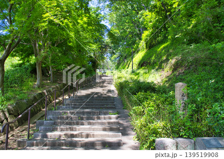 【横浜市】陣ケ下渓谷公園 みずのさかみち 【横浜市】陣ケ下渓谷公園 みずのさかみち 139519908