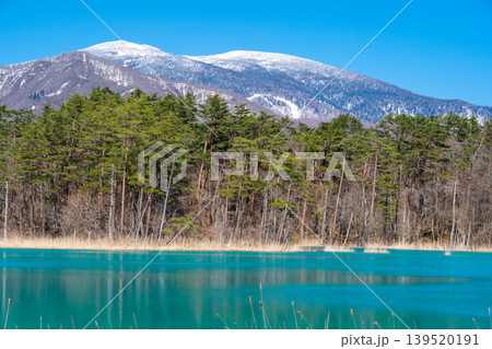 弁天沼と春山 弁天沼と春山 139520191