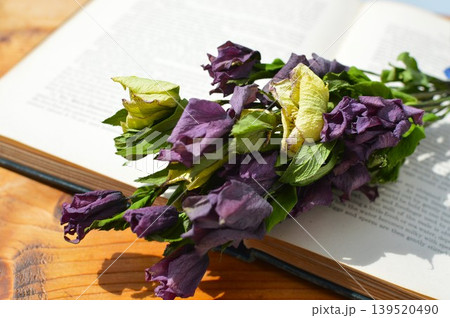 クリスマスローズのドライフラワーの花束と洋書 クリスマスローズのドライフラワーの花束と洋書 139520490