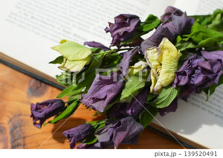 クリスマスローズのドライフラワーで作った花束と洋書 クリスマスローズのドライフラワーで作った花束と洋書 139520491