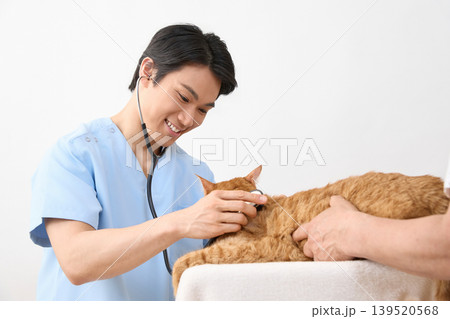猫を診察し微笑む男性獣医師 動物医療イメージ 139520568