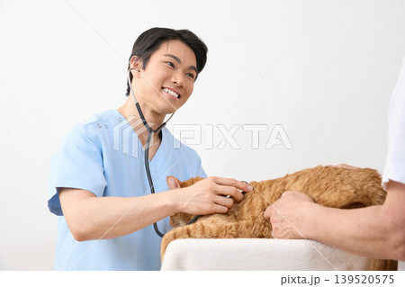 猫を診察し微笑む男性獣医師 動物医療イメージ 139520575