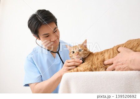 猫を診察する男性獣医師 動物病院の診療風景 猫を診察する男性獣医師 動物病院の診療風景 139520692
