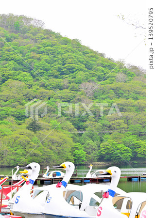 新緑の赤城大沼湖畔 新緑の赤城大沼湖畔 139520795