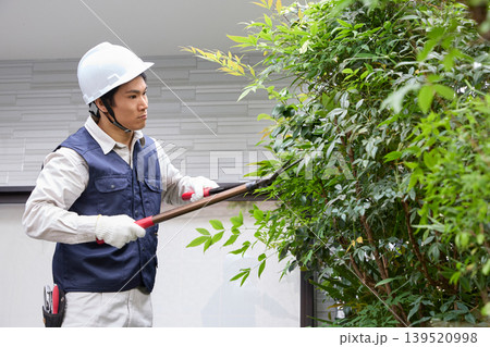 庭木を剪定する男性作業員 庭木を剪定する男性作業員 139520998