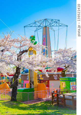 海道函館市 満開の桜が咲く春の函館公園 快晴の風景 海道函館市 満開の桜が咲く春の函館公園 快晴の風景 139521410