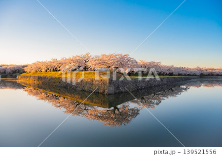 北海道函館市 五稜郭公園の満開の桜と快晴の春景 139521556