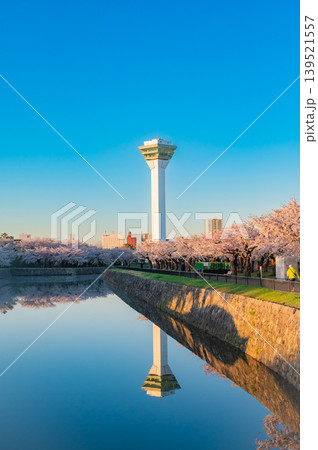 北海道函館市 五稜郭公園の満開の桜と快晴の春景 139521557
