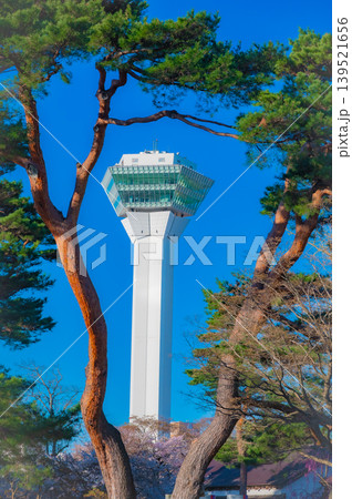 北海道函館市 五稜郭公園の満開の桜と快晴の春景 139521656
