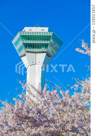 北海道函館市 五稜郭公園の満開の桜と快晴の春景 139521657