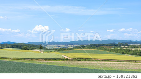 爽やかな風を感じる夏の北海道美瑛町の丘の上からの風景 爽やかな風を感じる夏の北海道美瑛町の丘の上からの風景 139521862