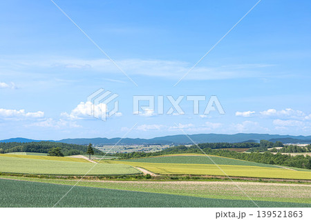 爽やかな風を感じる夏の北海道美瑛町の丘の上からの風景 139521863
