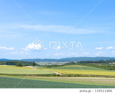 爽やかな風を感じる夏の北海道美瑛町の丘の上からの風景 爽やかな風を感じる夏の北海道美瑛町の丘の上からの風景 139521866