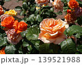 満開の美しい花＠鶴舞公園 139521988
