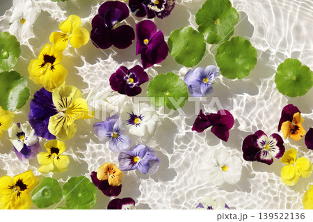 Colorful pansies and asiatic  pennyworts floating on shimmering waves. 139522136