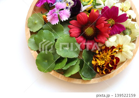 Colorful edible flowers for decorating your beautiful food plates. Colorful edible flowers for decorating your beautiful food plates. 139522159
