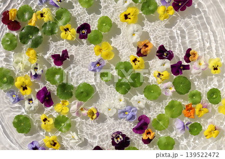 Colorful pansies and asiatic pennyworts floating on shimmering waves. Colorful pansies and asiatic pennyworts floating on shimmering waves. 139522472