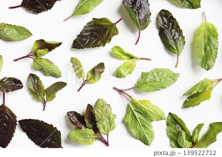 Holy basil, Fresh leaves of herb plant Holy basil, Fresh leaves of herb plant 139522712