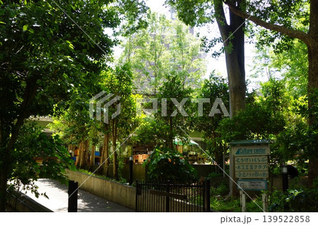 東京都板橋区中台三丁目の板橋サンシティのカルチャーセンターの風景 東京都板橋区中台三丁目の板橋サンシティのカルチャーセンターの風景 139522858