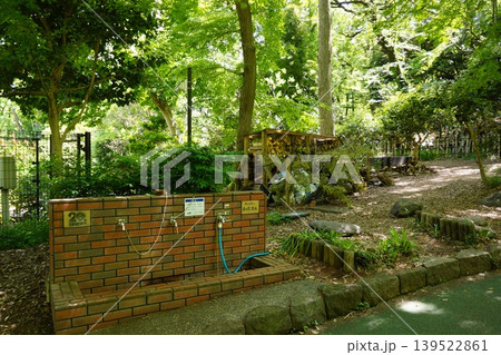 東京都板橋区中台三丁目の板橋サンシティの森の天然水周辺の風景 東京都板橋区中台三丁目の板橋サンシティの森の天然水周辺の風景 139522861