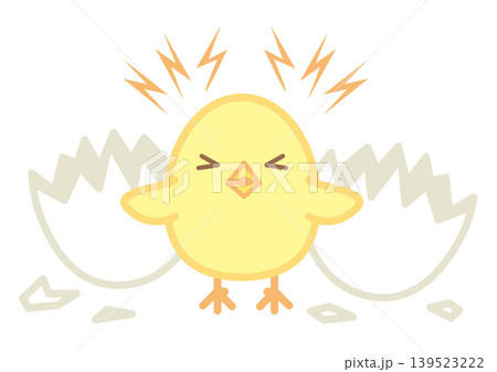 殻を破って誕生し鳴くシンプルでかわいいヒヨコ 139523222