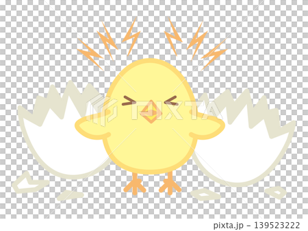 殻を破って誕生し鳴くシンプルでかわいいヒヨコ 139523222