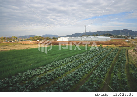 Scenic Countryside View from Train Between Kyoto and Nara Nov 27 2025 139523330