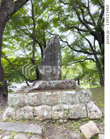 長篠城址　石碑（愛知県新城市） 139523468