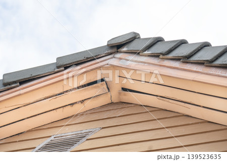Birds nesting under old roof that loose or broken externalceiling. Birds nesting under old roof that loose or broken externalceiling. 139523635