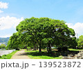 新緑の季節の神戸市内 川沿いの散歩道の風景 新緑の季節の神戸市内 川沿いの散歩道の風景 139523872
