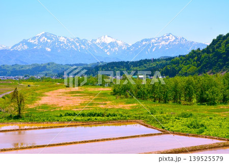 新緑の新潟県魚沼市堀之内魚野川畔・残雪の越後三山山並み 新緑の新潟県魚沼市堀之内魚野川畔・残雪の越後三山山並み 139525579