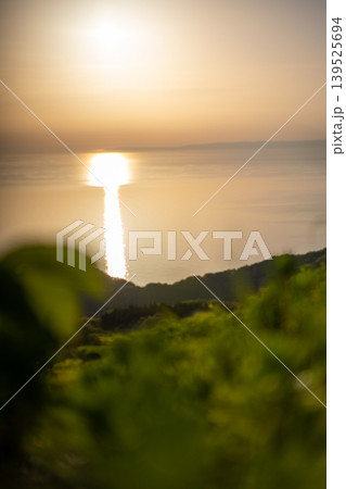 水面に輝く夕日と緑 水面に輝く夕日と緑 139525694