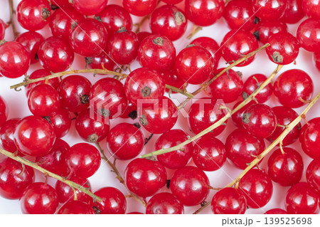 Clustered red currants presented vividly against pure white backdrop. Groups of lively red currants artfully arranged on spotless white background for promotional imagery 139525698