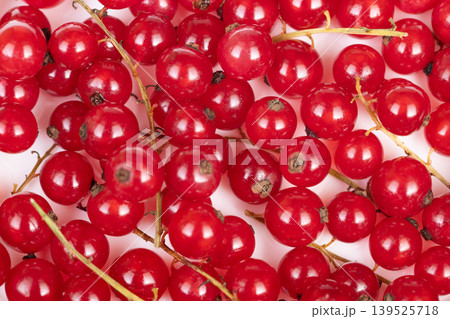 Red currant display. Vivid red berries on stems. Artistic presentation of vibrant currant bunches. Brightly arranged red currants with visible stems for culinary display 139525718