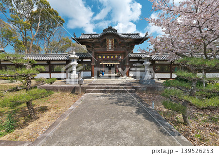 【松山東照宮 (松山神社)】愛媛県松山市祝谷東町 139526253