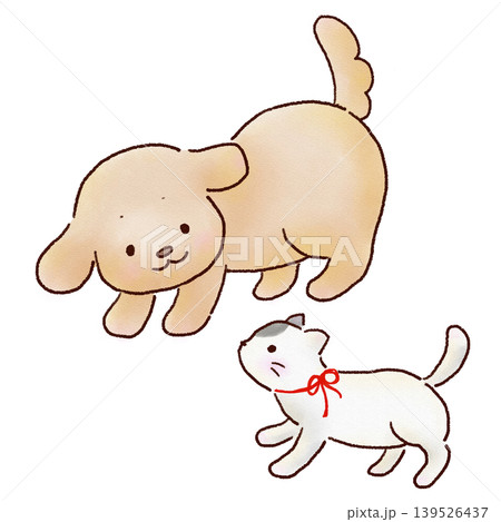仲良く向かい合う犬と猫 仲良く向かい合う犬と猫 139526437