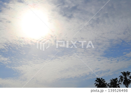 太陽　雲の多い雲　ヤシの木 139526498