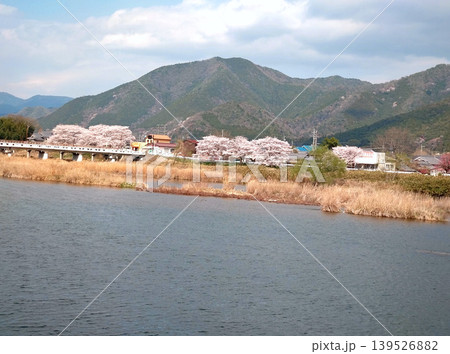 川辺に咲く桜並木と山々が広がる春の田園風景 川辺に咲く桜並木と山々が広がる春の田園風景 139526882