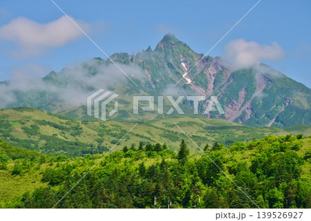 新緑に包まれた利尻島 利尻岳 新緑に包まれた利尻島 利尻岳 139526927
