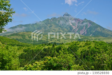 新緑に包まれた利尻島 利尻岳 新緑に包まれた利尻島 利尻岳 139526930